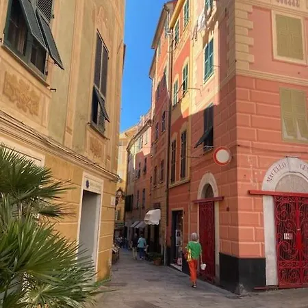 Confortevole, Pieno Centro